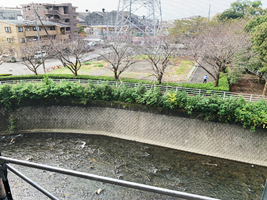 三島市萩中古マンション　バルコニーからの眺望（春には桜が楽しめます）